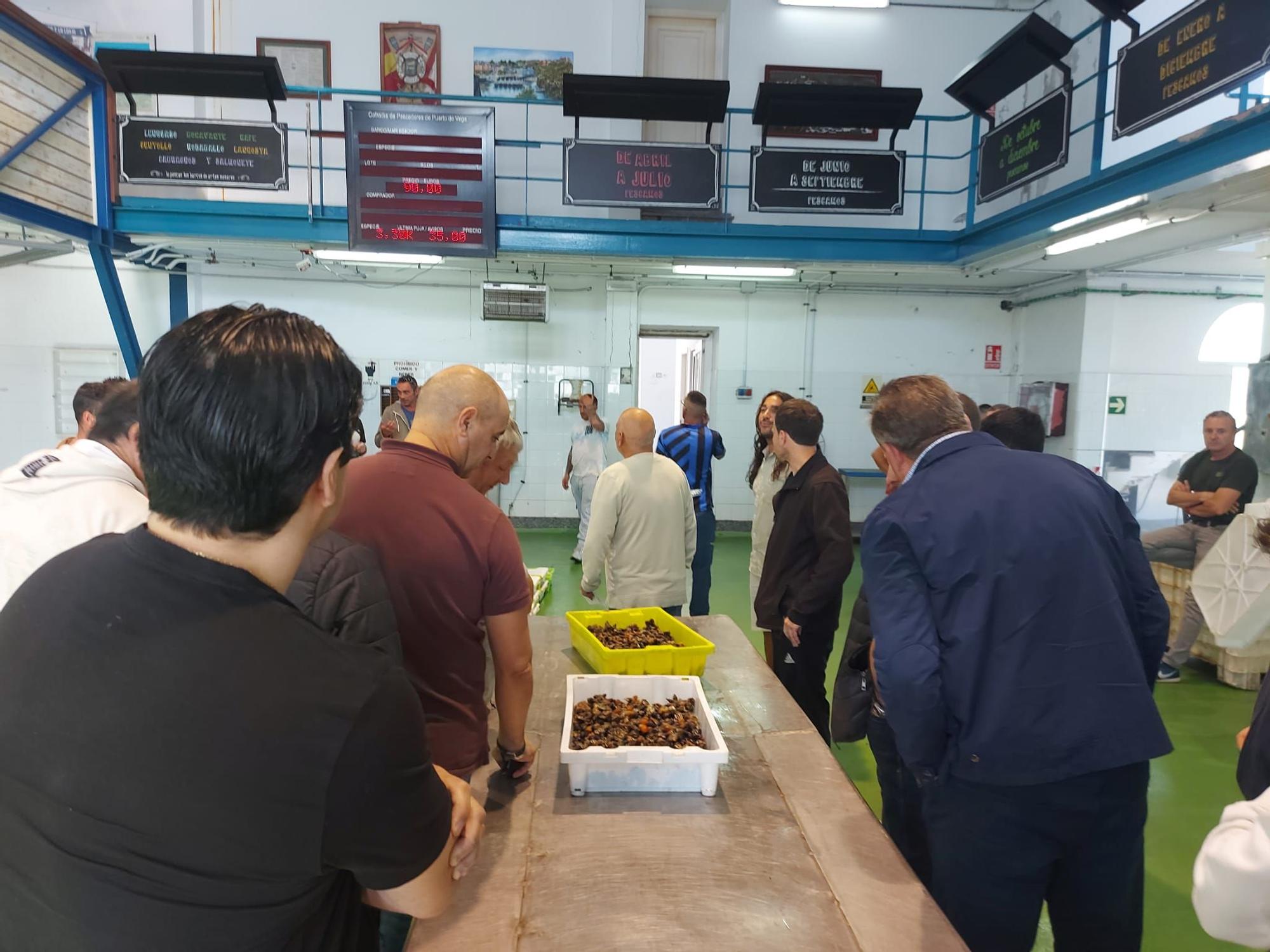 En imágenes: La primera subasta de percebe de la temporada en la rula de Puerto de Vega