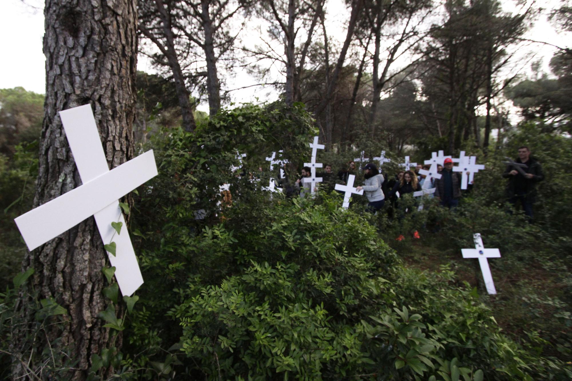 La pineda d'en Gori de Palamós s'omple de creus en protesta pel tercer edifici que s'hi vol construir