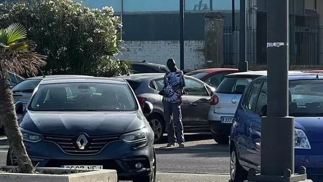 Gorrillas en el paseo marítimo a la altura del Hospital de la Malva-rosa