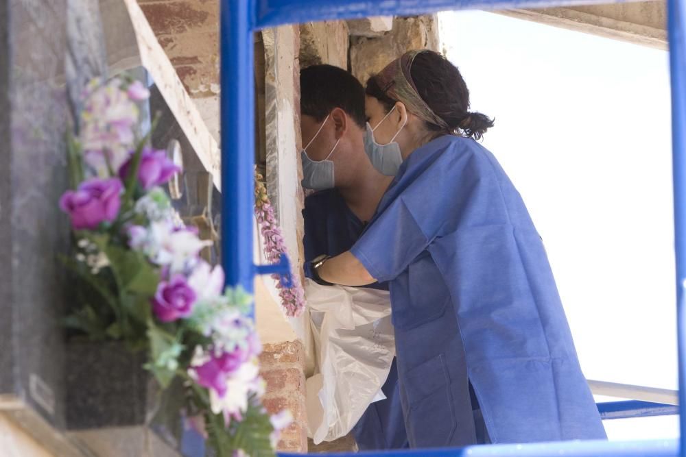 Exhumación fusilados de la guerra civil en el cementerio de Ontinyent