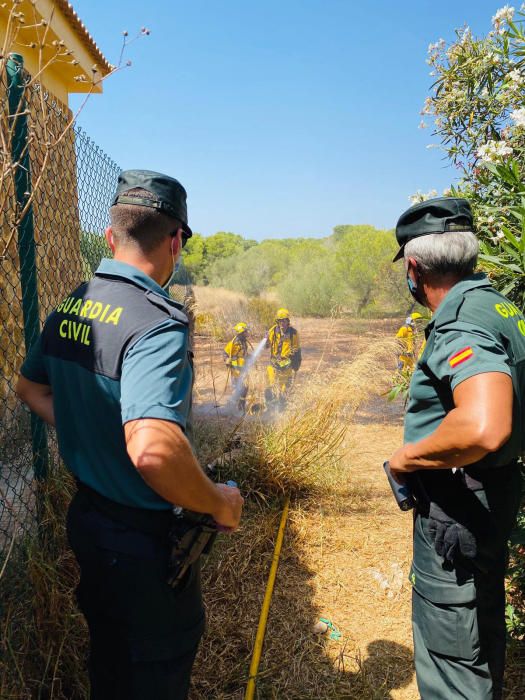 Alarma por un incendio en un bosque de la urbanización Puig de Ros, en Llucmajor