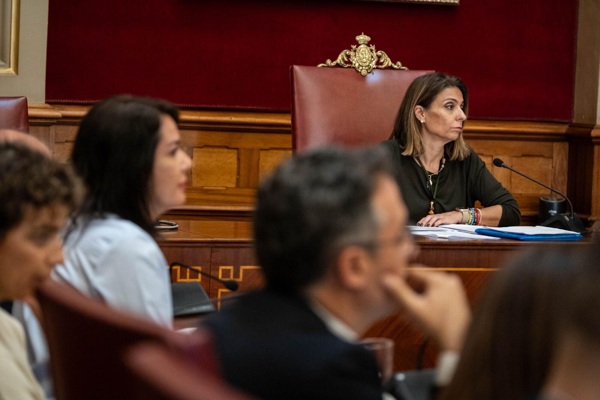 Comisión de Control de Santa Cruz de Tenerife (10/04/2025)