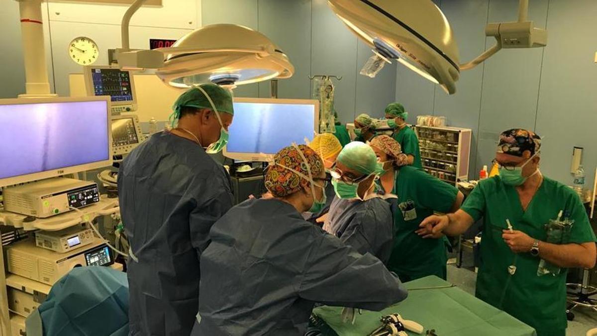 Una intervención quirúrgica reciente en el Hospital General Universitario de Elda.