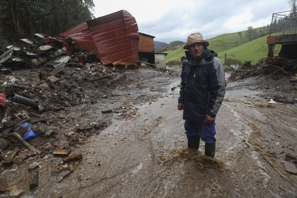 Temporal en Asturias: Un argayo sepulta una ganadería en Salas