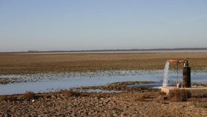 Brussel·les amenaça Espanya amb multes si no corregeix el deteriorament de Doñana