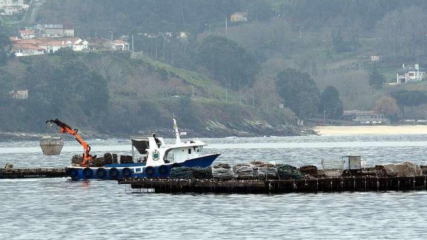 Un bateeiro trabajando en la ría de Pontevedra. // Rafa Vázquez