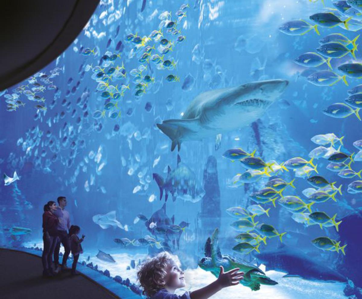 Grupo Loro Parque, la compañía de las experiencias