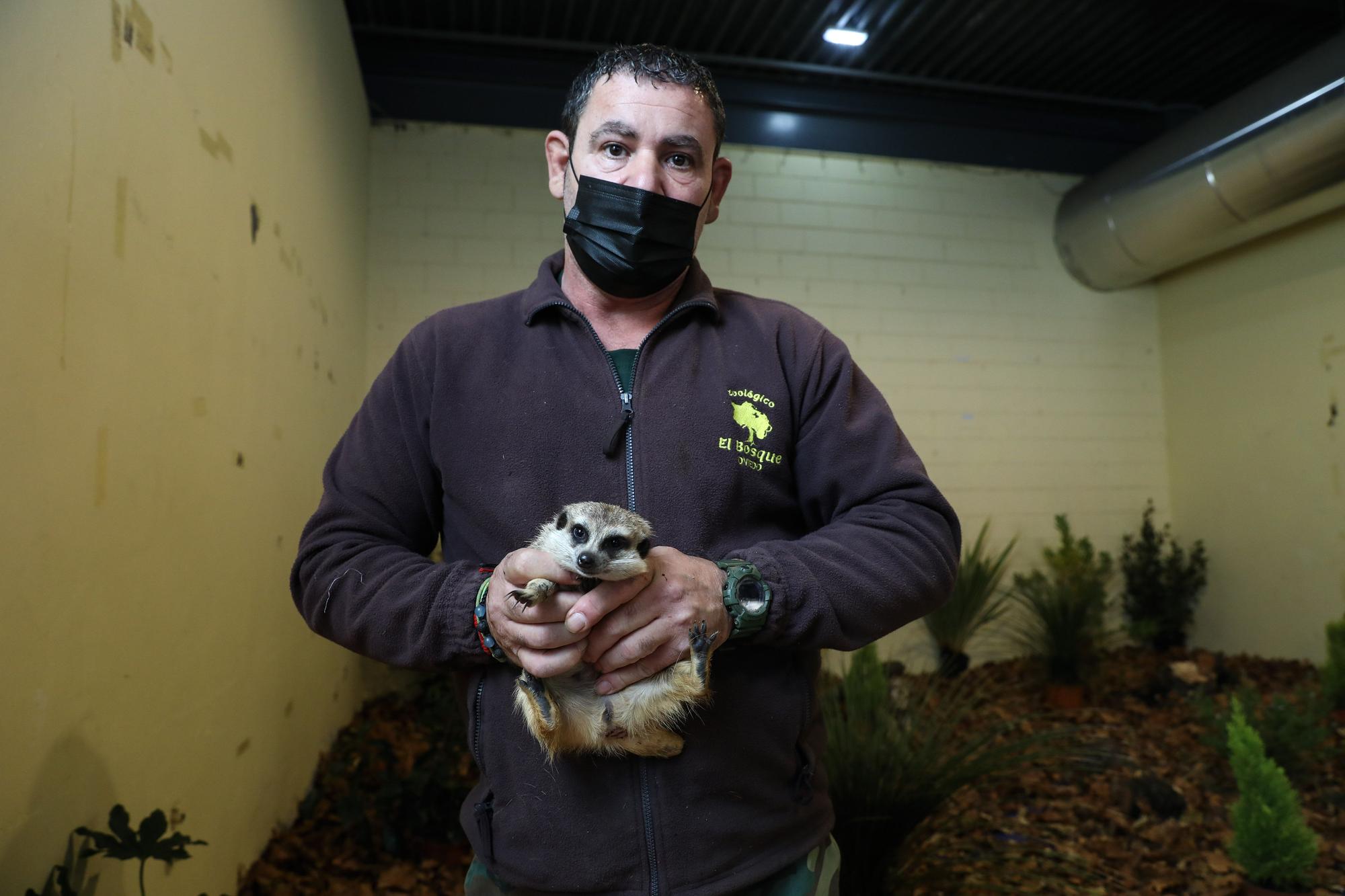 El recinto ferial acoge una nueva edición de Espacio Mascotas