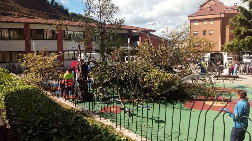 Heridos cuatro niños tras caer un árbol en el parque de Cabañaquinta