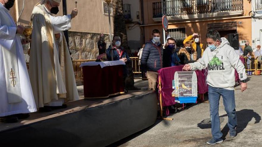 A l’esquere i al centre, imatges de la benedicció d’animals en Guardamar de la Safor. A la dreta, el spopar popular en Almiserà amb la cremà de la foguera.                                                     | LEVANTE-EMV