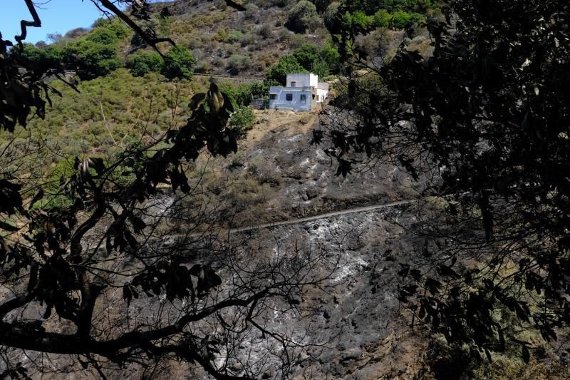 Consecuencias del incendio: De Valleseco a Artenar