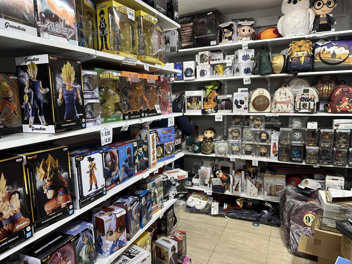 El Llano puede presumir de tener su pequeño universo friki: “Es un negocio muy especializado y la gente viene a buscarnos” El Llano puede presumir de tener su pequeño universo friki: “Es un negocio muy especializado y la gente viene a buscarnos”