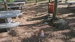 Somos Ribadumia denuncia el abandono de la Carballeira tras la Festa do Pan