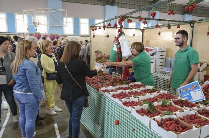 VALSEQUILLO. Feria de la fresa de Valsequillo  | 05/05/2019 | Fotógrafo: José Pérez Curbelo