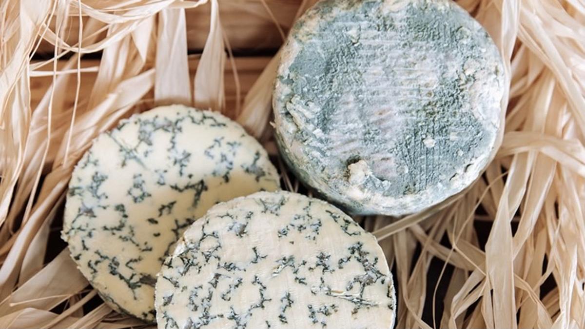 Savel, el queso azul de Airas Moniz