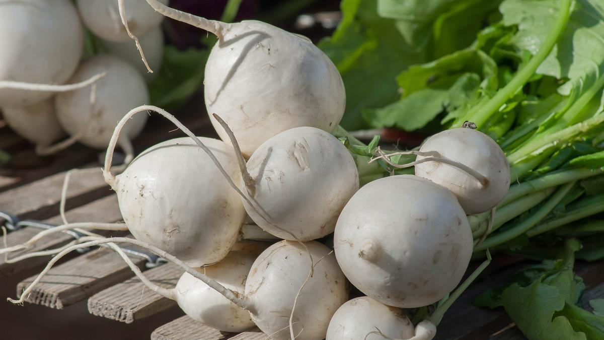 El nabo tiene muchas vitaminas y es rico en calcio