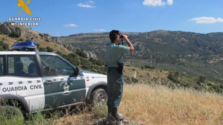 La Guardia Civil concluye la campaña contra incendios con más de 1.900 servicios