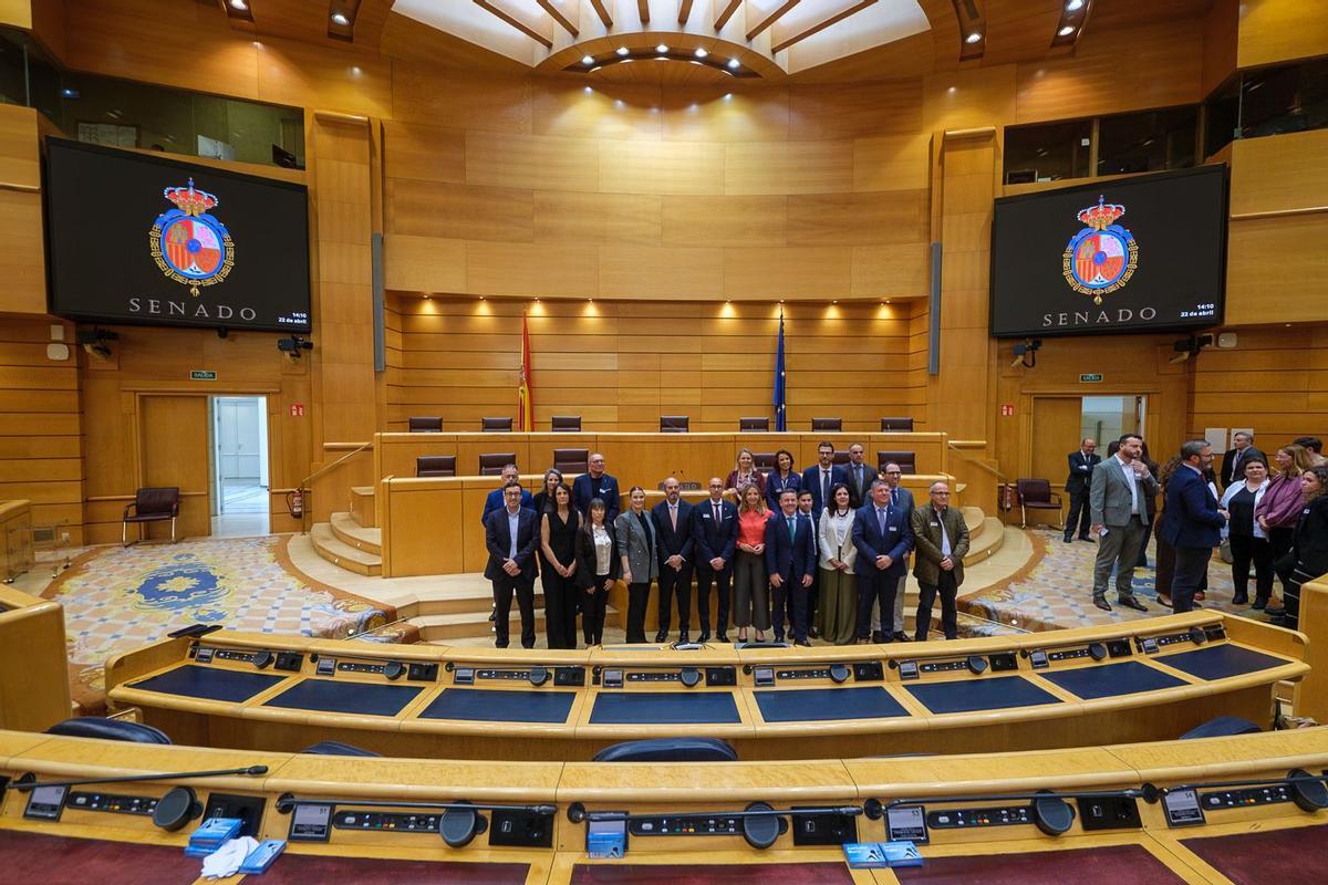 La delegación balear desplazada hasta Madrid posa en el Senado