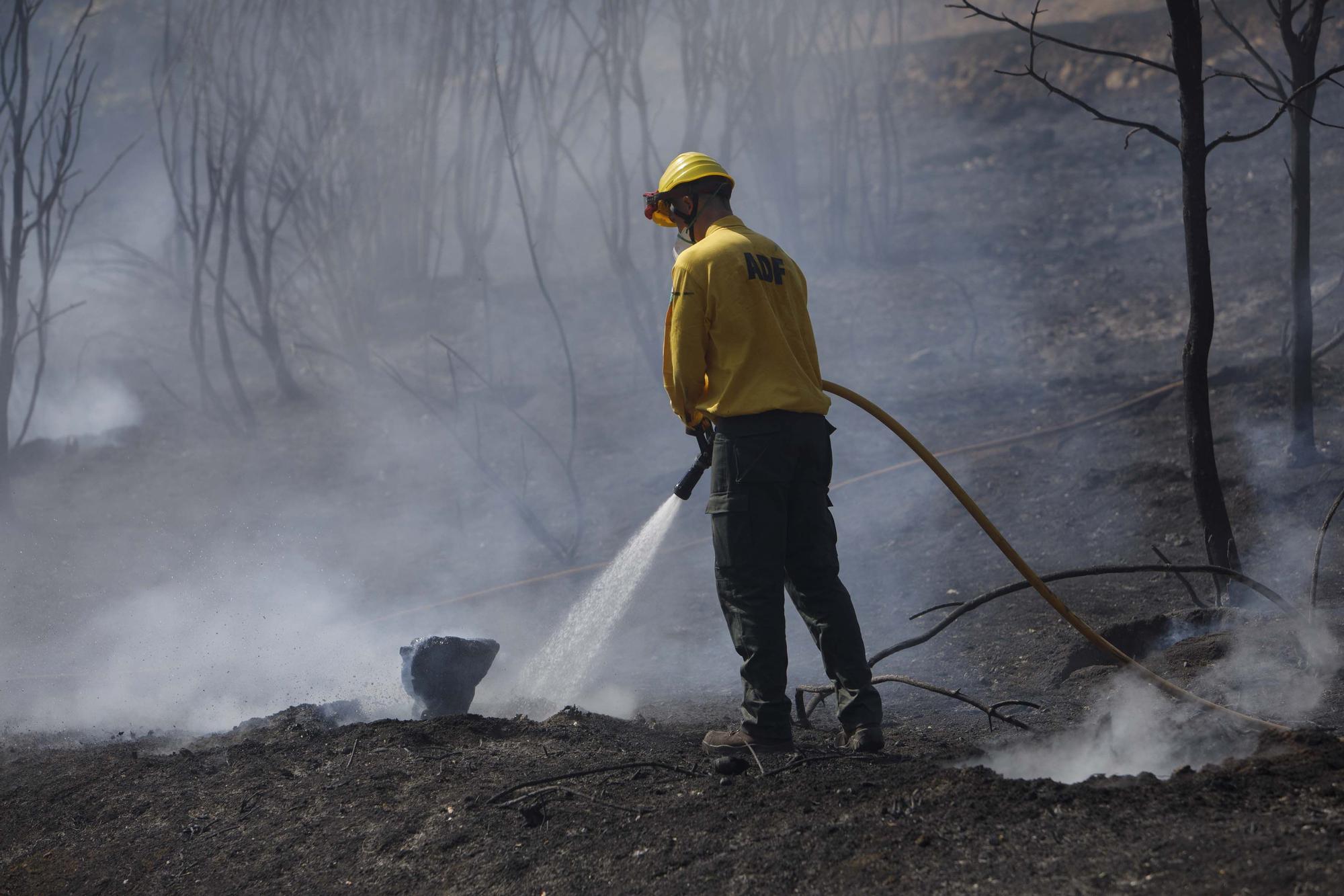 L'incendi d'Arbúcies, en imatges