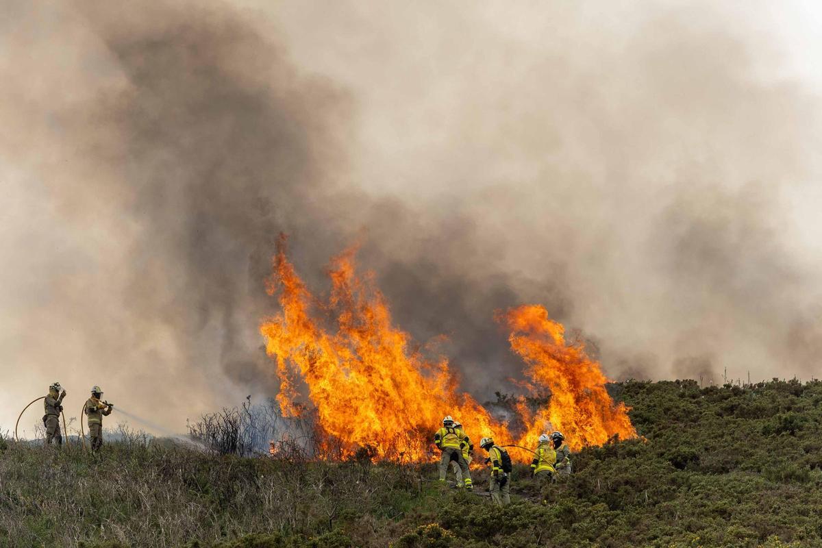 El fuego, un aliado en la prevención de las llamas: «Reduce la carga y nos da margen de seguridad