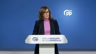 El PP acusa al Gobierno de "tapar" la moción de Pamplona pactando con Bildu en materia de vivienda