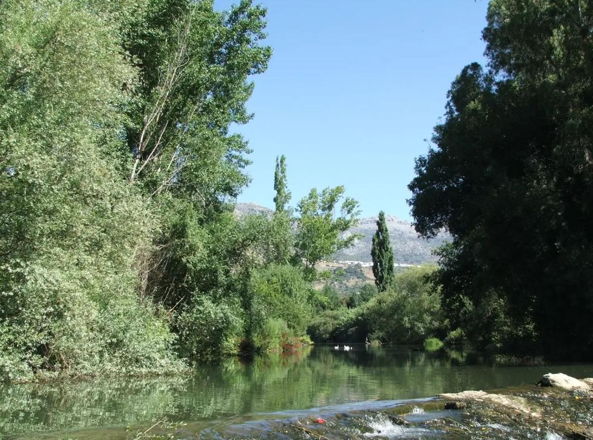 Charca de la Zúa, una piscina natural situada en Cortes de la Frontera
