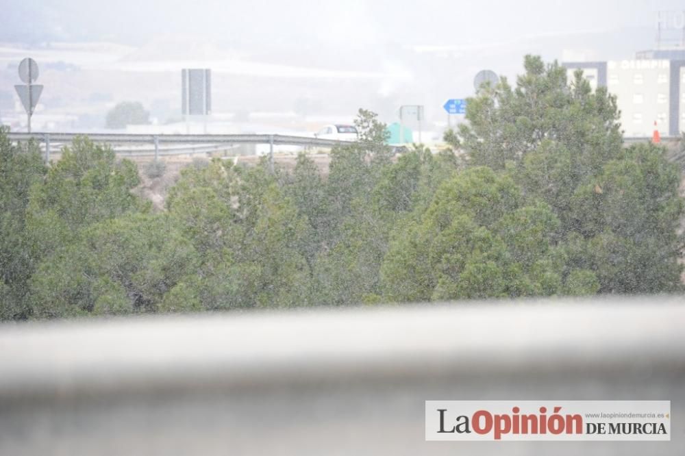 La nieve tiñe de blanco Murcia