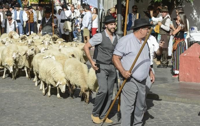 14/07/2018 GÁLDAR. Romería ofrenda de Gáldar. ...