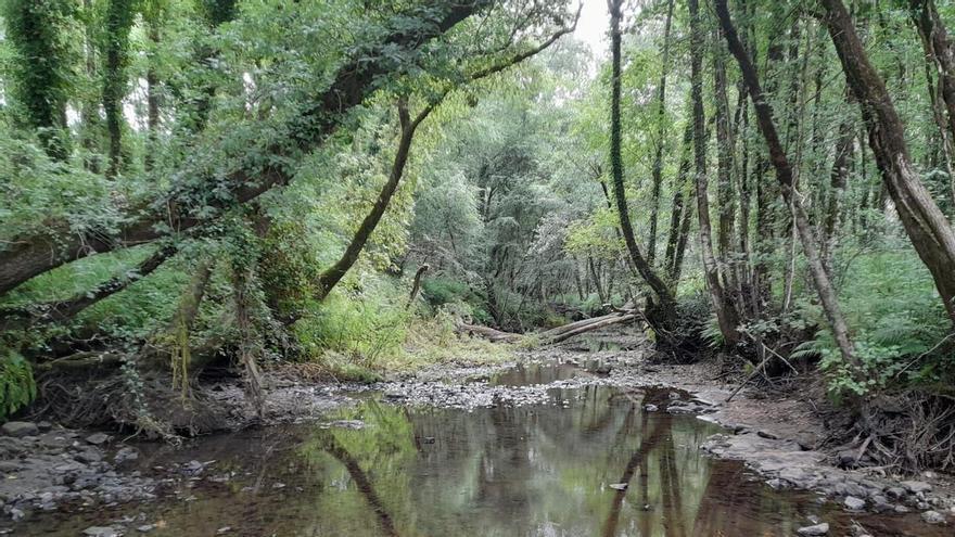 Coirós se suma a las peticiones de un "uso responsable" del agua