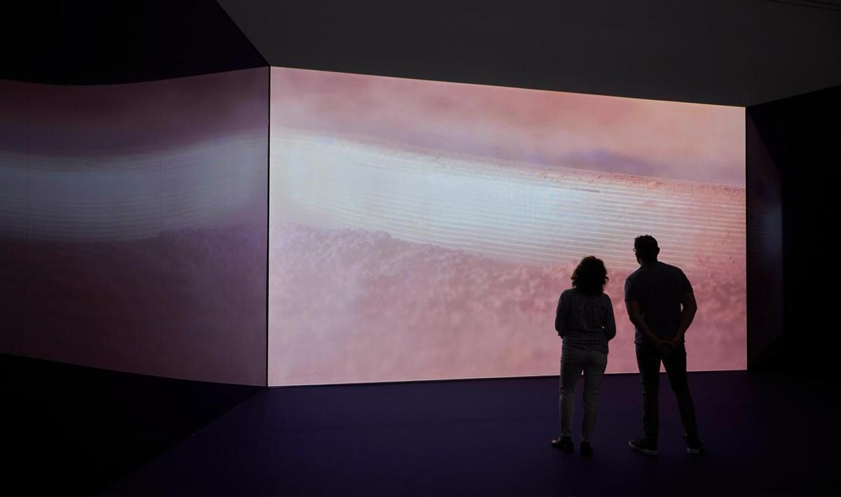 Vista de la exposición de Leonor Serrano Rivas, 'Magia natural', en el Espacio Uno del Reina Sofía.