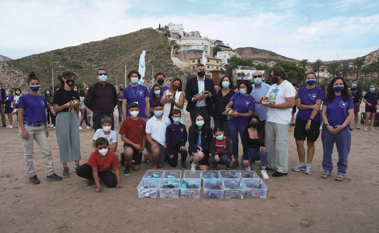 Las doce tortugas marinas del nido de Cullera vuelven al mar