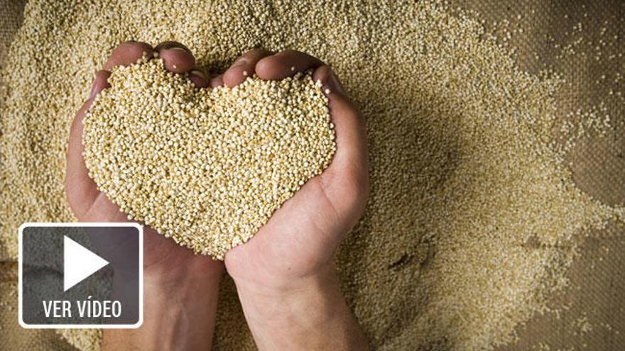 Conoce la versatilidad de la quinoa.