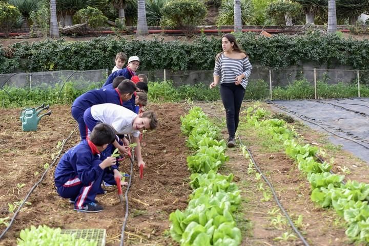 Visita escolar a la Granja Agricola del Cabildo