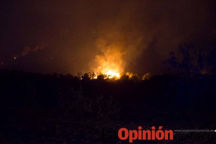 Incendio en la Zarcilla de Ramos