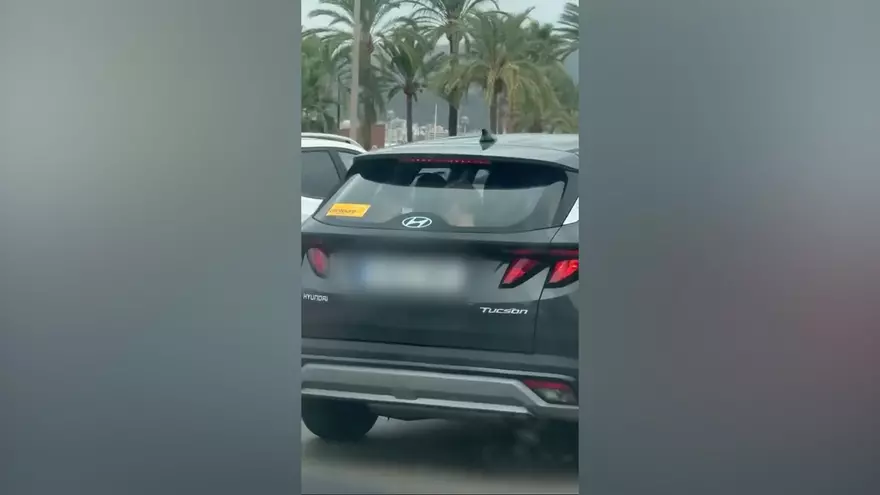 VÍDEO | Un coche de alquiler es visto en Palma con dos menores en el maletero