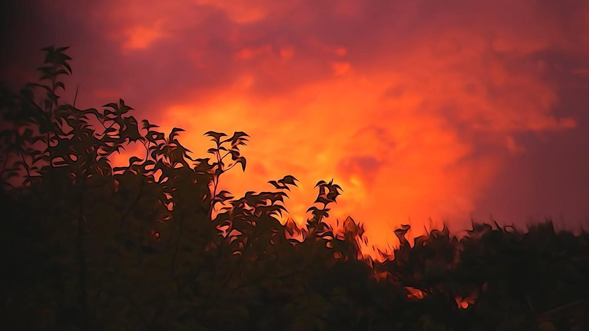 El color del calor de este verano.
