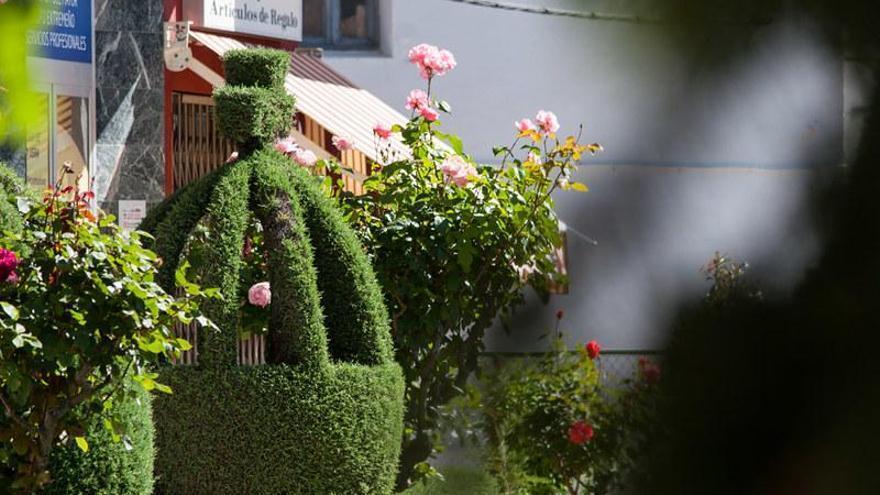 Losar de la Vera: el pueblo de Cáceres que cautivó al rey Juan Carlos I con sus arbustos artísticos
