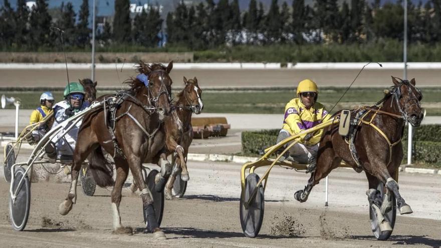 Triunfo del menorquín Eis de Flo ante Estrella de Llevant