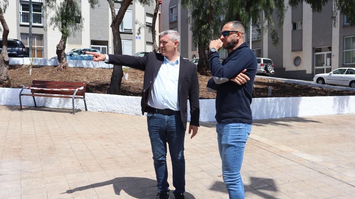 El proyecto cuenta con la incorporación de flora canaria correspondiente a distintos niveles de vegetación.