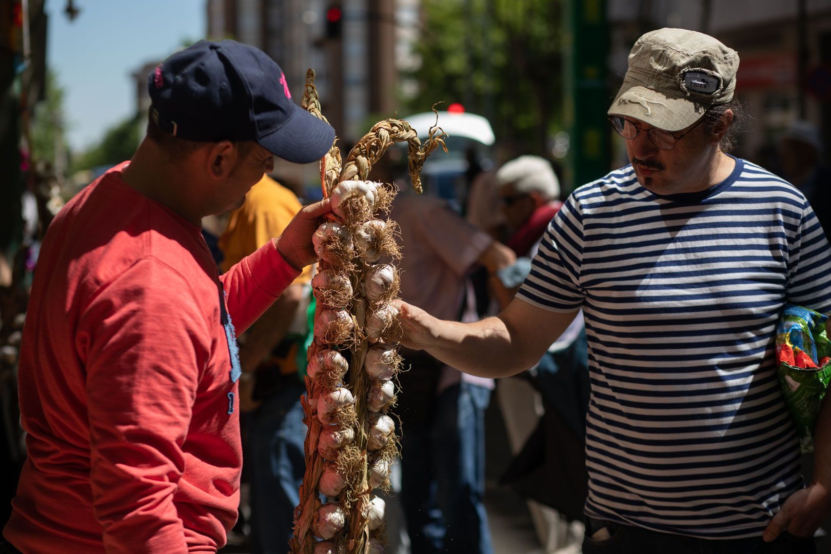 GALERÍA | Las mejores imágenes de la Feria del Ajo de Zamora