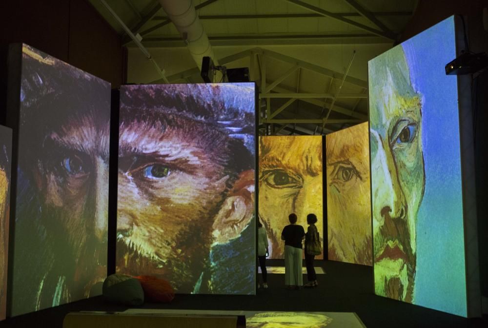 Exposición Van Gogh Alive Experience en Alicante