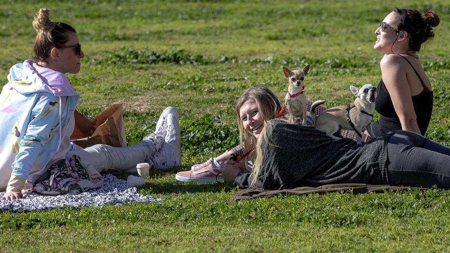 Los ciudadanos aprovechan las altas temperaturas en Mallorca para realizar actividades al aire libre