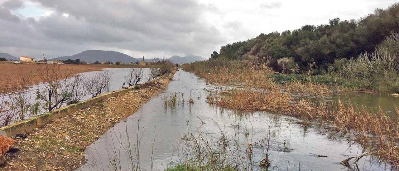 Las ´marjals´ de sa Pobla, anegadas después de las lluvias de diciembre.