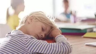 Así debe ser un buen desayuno para mejorar el rendimiento escolar, y el profesional