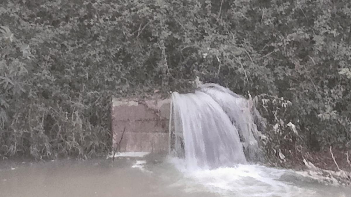 El agua brota por una boca de alcantarilla que está en el lecho del río y envuelta por zarzas