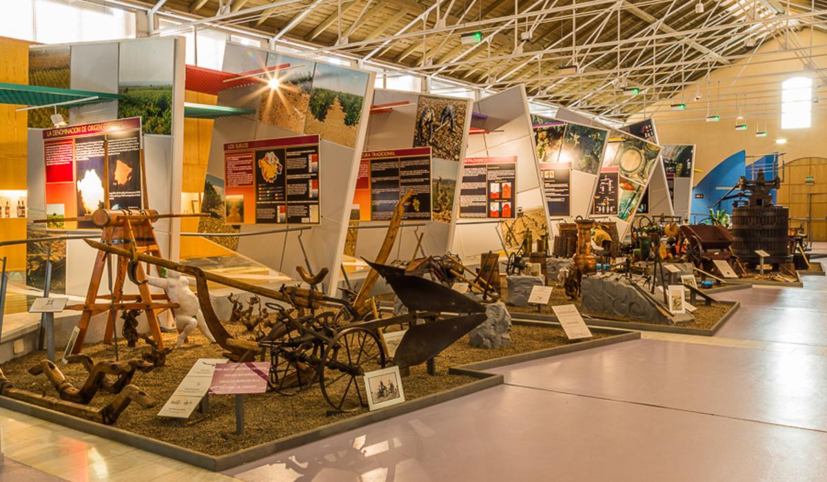 Museo del Vino