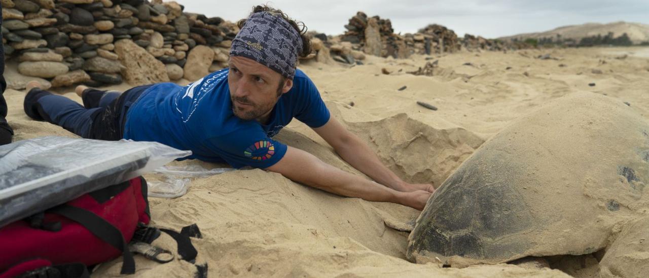 Expedició a Cap Verd per a estudiar la colonització de les tortugues marines |