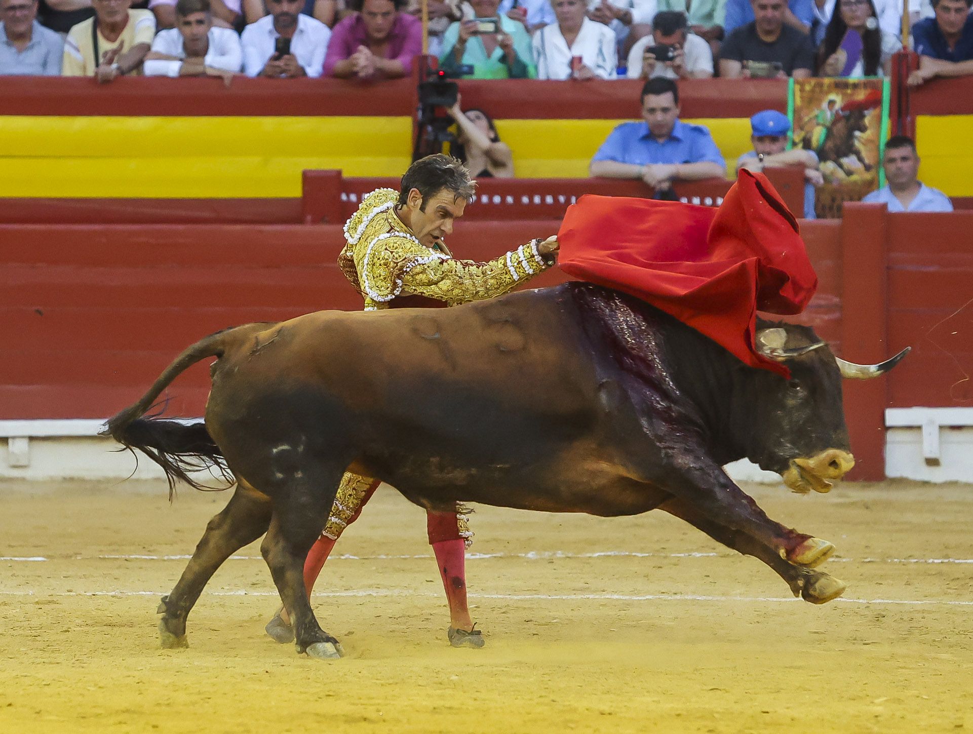 El gran José Tomás revoluciona la plaza de toros de Alicante