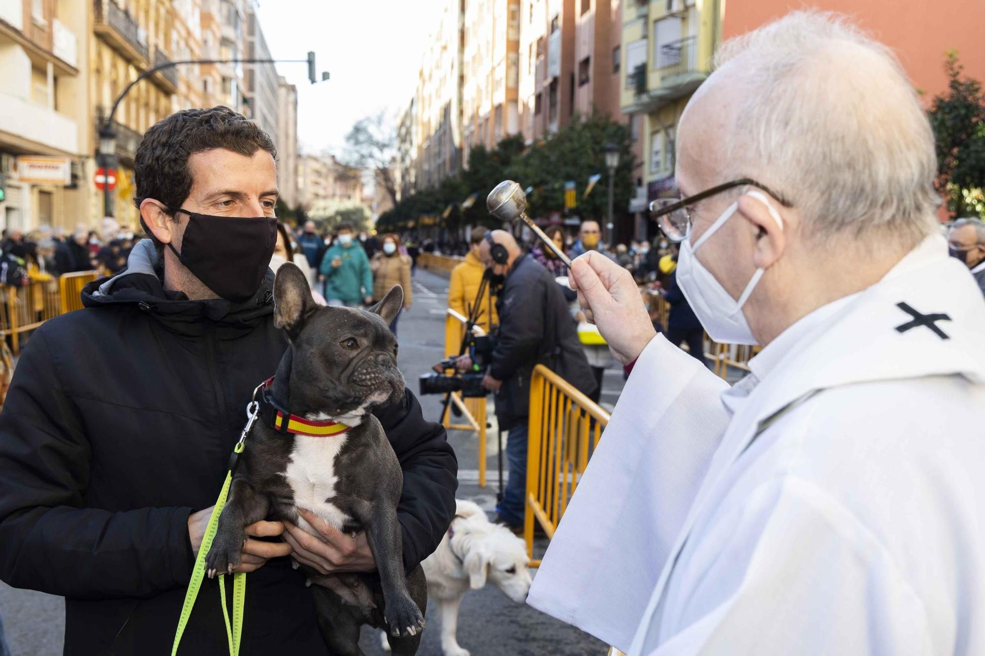 Búscate en la bendición de animales de Sant Antoni