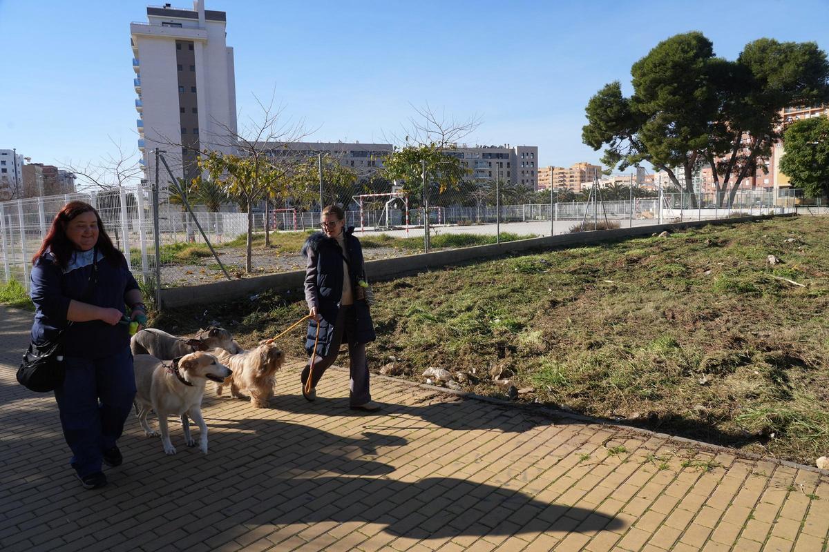 Las obras del nuevo pipicán afectan al solar junto a los colegios Sensal y Carles Salvador.
